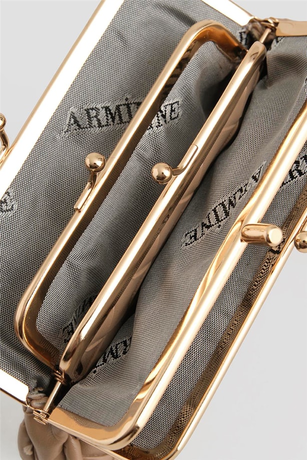 Armine El Çantası 25YD7029 Vizon