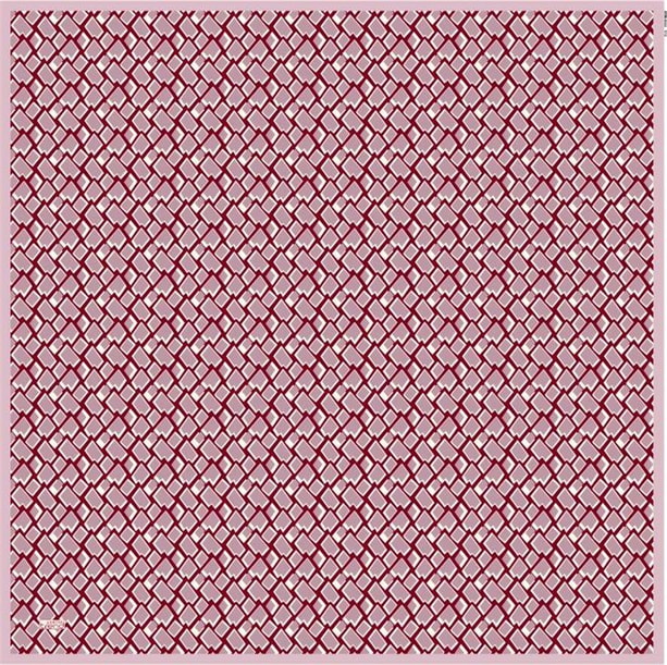 Armine Trend Eşarp 6022 12