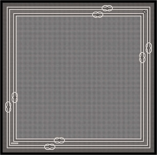 Armine Klasik Desenli Saf İpek Twill Eşarp 9404D 80