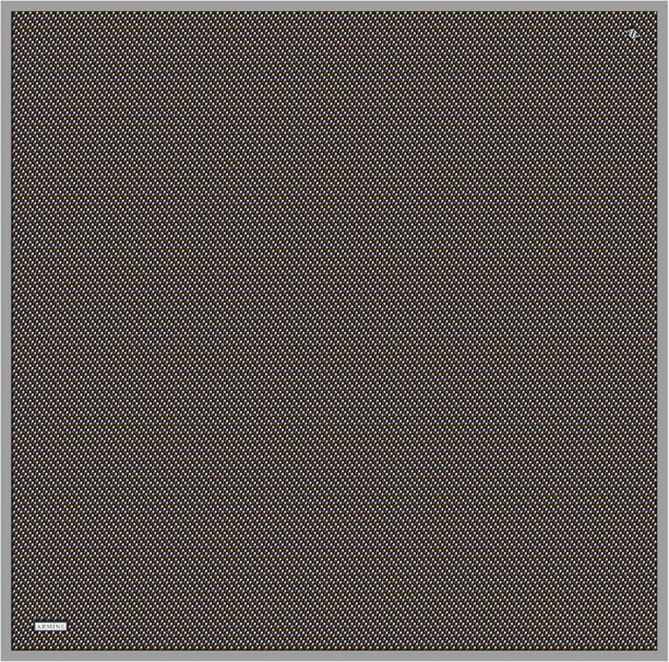 Armine Desenli Saf İpek Sura Eşarp 9307-04