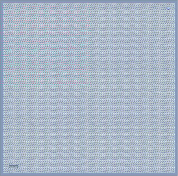 Armine Desenli Saf İpek Sura Eşarp 9307-07