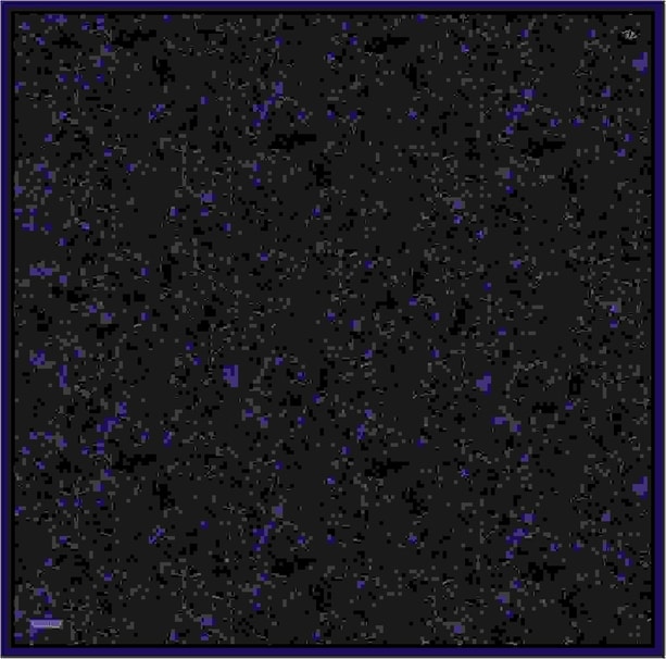 Armine Desenli Saf İpek Twill Eşarp 9311- 10