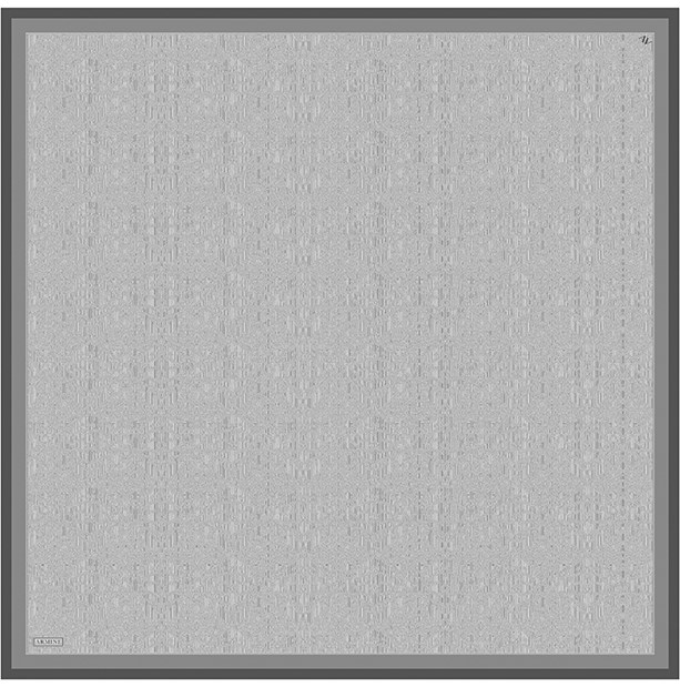 Armine Saf İpek Sura Eşarp 9601D 02