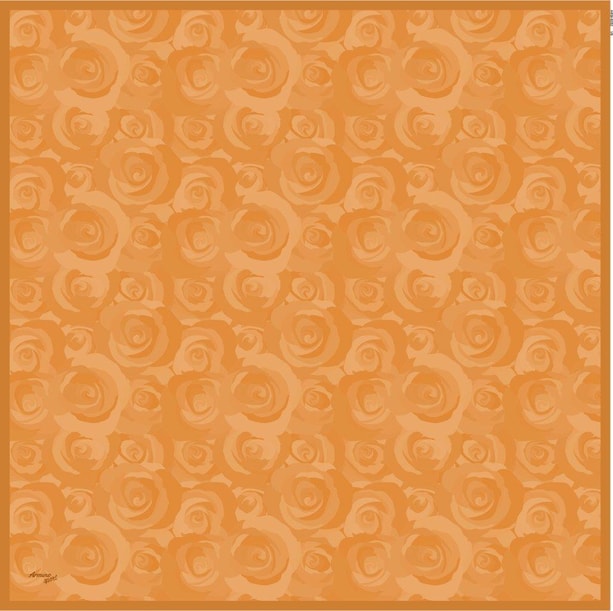 Armine Sport Eşarp 6082 09