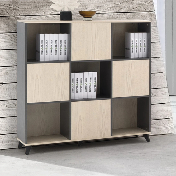 Dexora A120 Ofis Dosya Dolabı