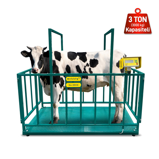 Melasty Büyükbaş Hayvan Baskülü (3000kg)