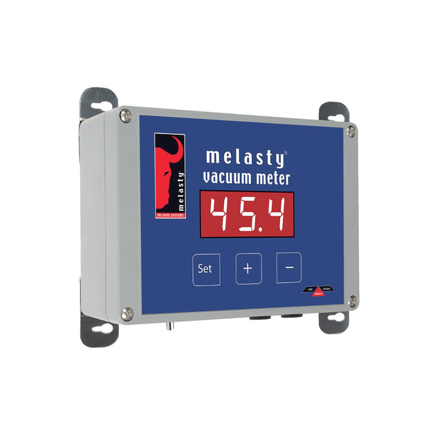 Melasty3851