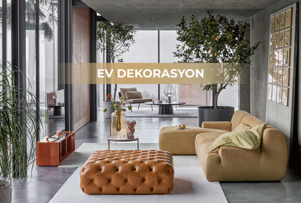 Ev Dekorasyon