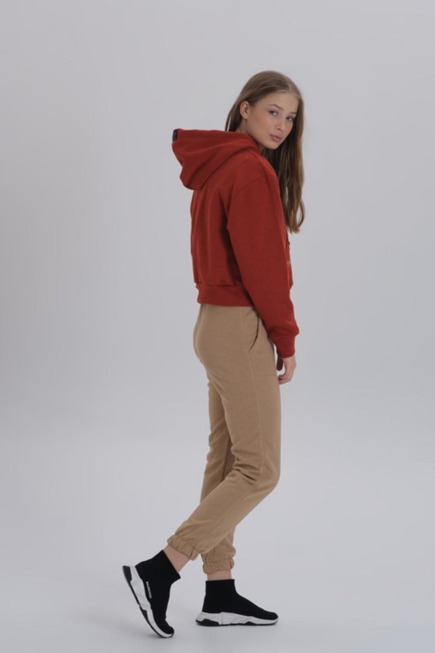 Gri Meyve Aksesuarlı Kapüşonlu Üç Iplik Kadın Sweatshirt
