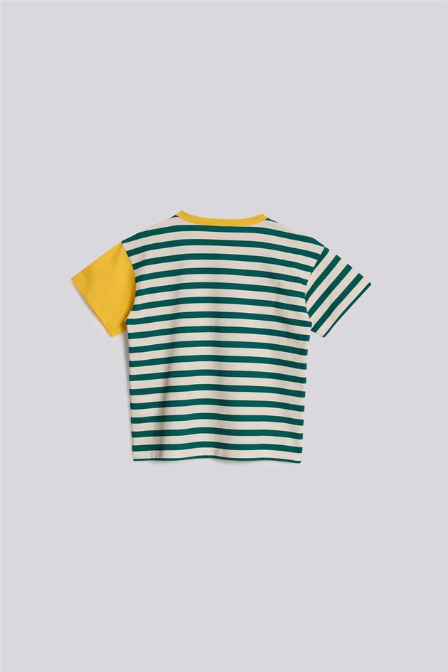 Beverly Hills Polo Club Boy Striped TshirtBeverly Hills Polo Club Boy Striped Tshirt
