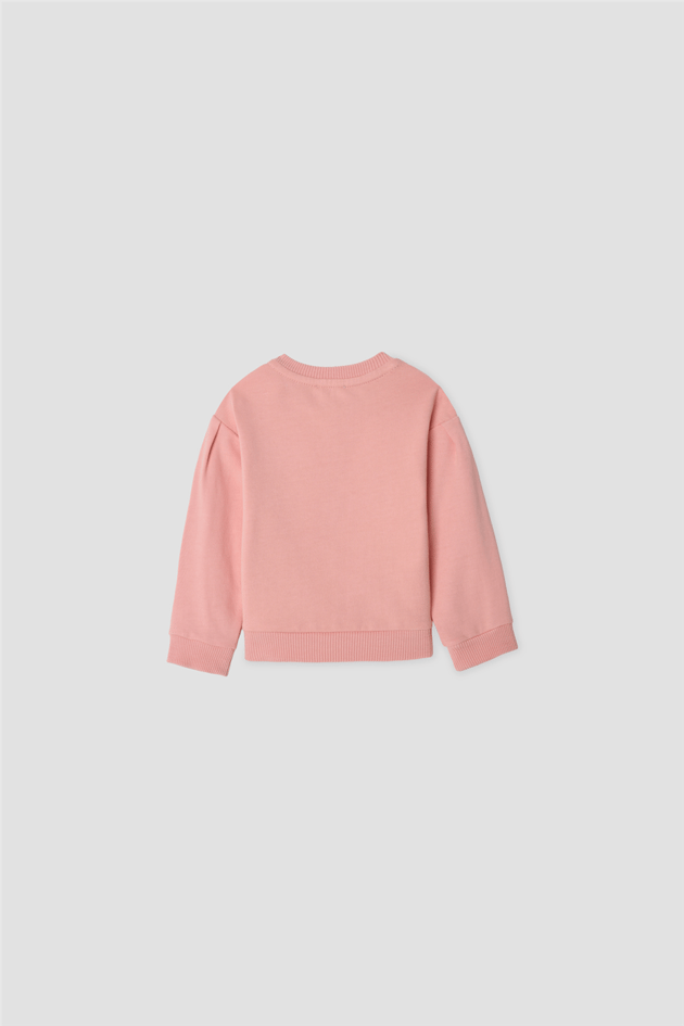 B&G Baby Girls Transfer Printed Crew Neck Eşofman SetB&G Baby Girls Transfer Printed Crew Neck Eşofman Set