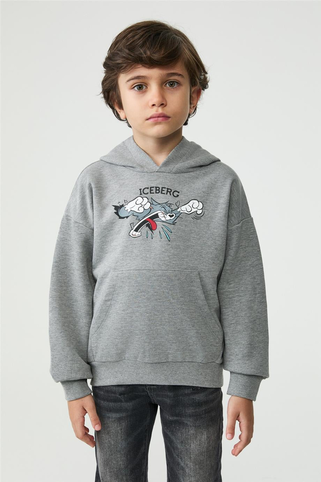 Iceberg Boy Grey SweatshirtIceberg Boy Grey Sweatshirt