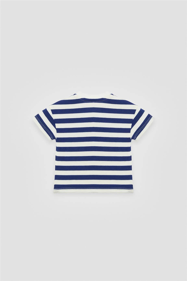  Baby Boy Striped Tshirt Baby Boy Striped Tshirt
