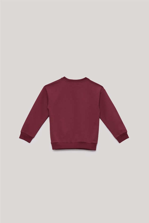 Nebbati Basic Erkek Çocuk Kırmızı Sweatshirt