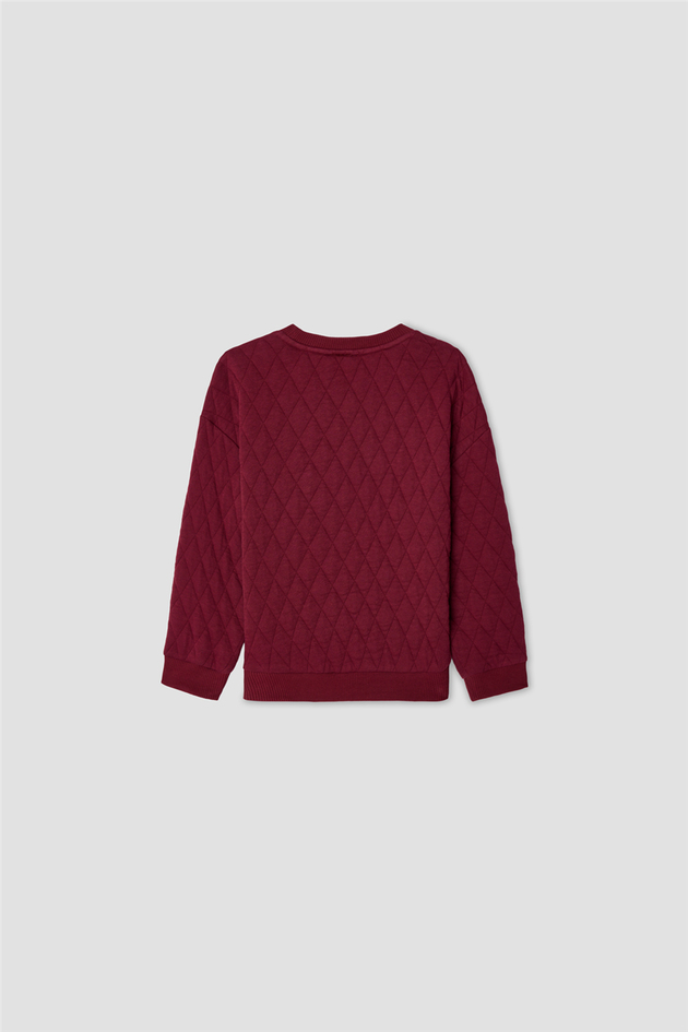Nebbati Erkek Çocuk Aplikeli Bisiklet Yaka SweatshirtNebbati Erkek Çocuk Aplikeli Bisiklet Yaka Sweatshirt