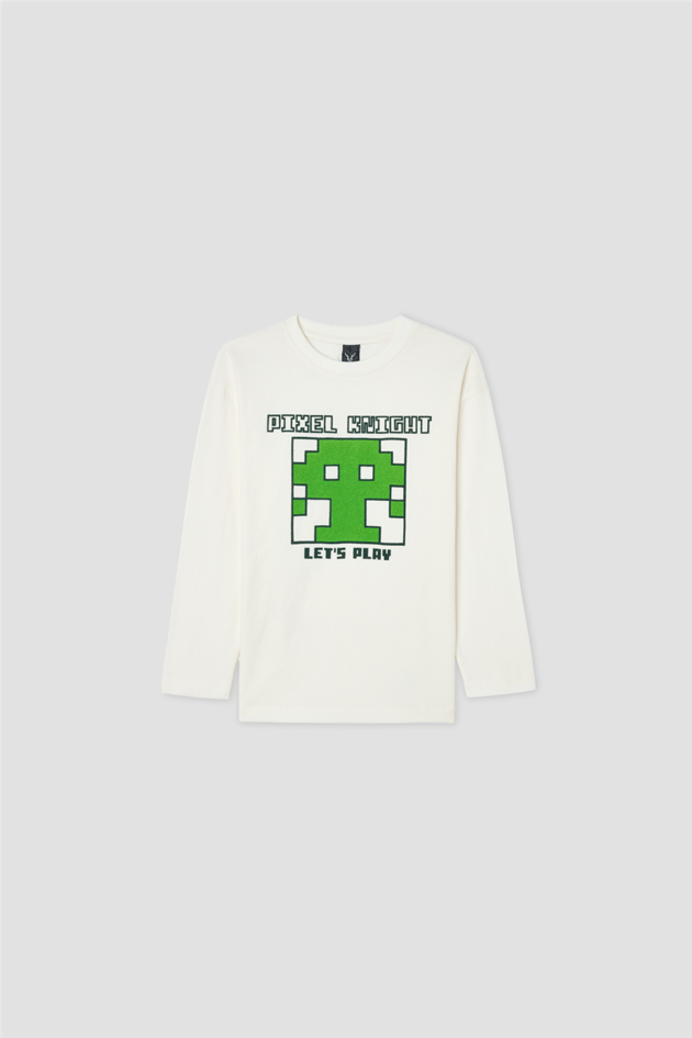 Nebbati Boys Flock Printed Crew Neck T-ShirtNebbati Boys Flock Printed Crew Neck T-Shirt
