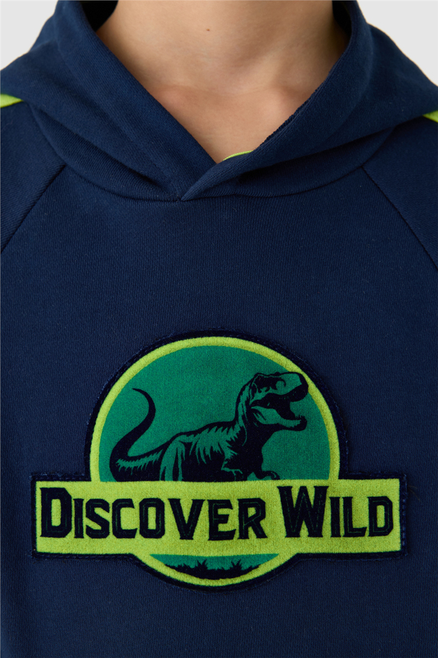 Nebbati Erkek Çocuk Flok Baskılı Kapüşonlu SweatshirtNebbati Erkek Çocuk Flok Baskılı Kapüşonlu Sweatshirt