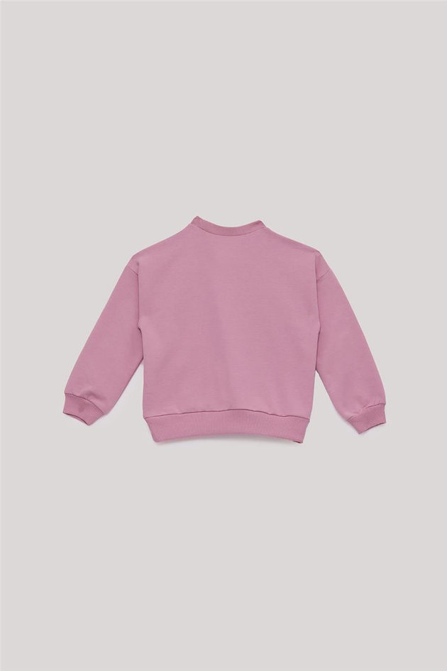Tyess Basic Kız Çocuk Pembe Takım