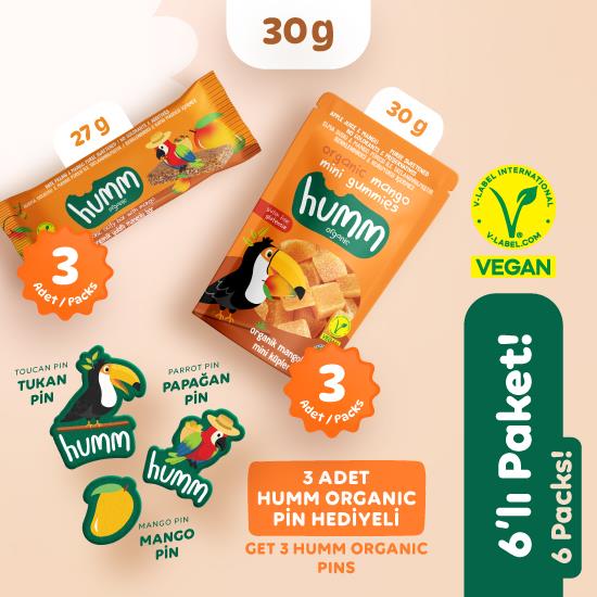 Organik Vegan Mangolu Meyveli Küp   Yulaf Bar Atıştırmalık Paketi   6 adet (2 çeşit) PIN Hediyeli! görseli.