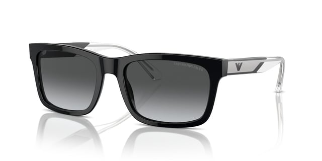Emporio Armani 0EA 4224 5017/T3 57 Erkek