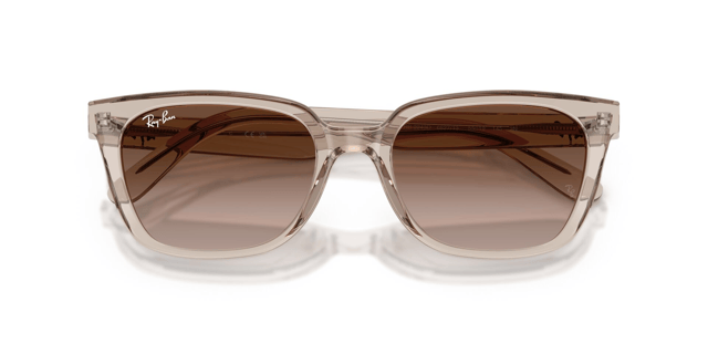 Ray-Ban 0RB 2243D 6827/13 55 Kadın
