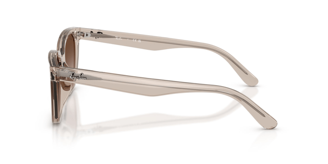 Ray-Ban 0RB 2243D 6827/13 55 Kadın