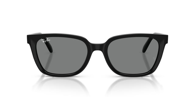 Ray-Ban 0RB 2243D 901/87 55 Kadın