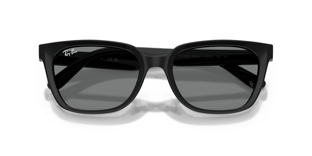 Ray-Ban 0RB 2243D 901/87 55 Kadın