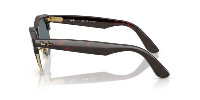 Ray-Ban kahverengi çerçeve füme polarize cam gözlük