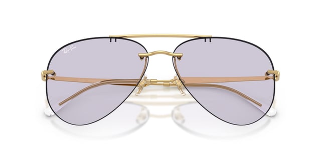Ray-Ban 0RB 3791 001/MH 59 Unisex