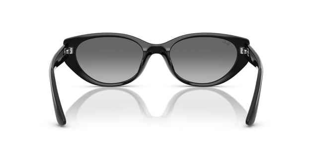 Ray-Ban 55 mm sade şık güneş gözlüğü modeli