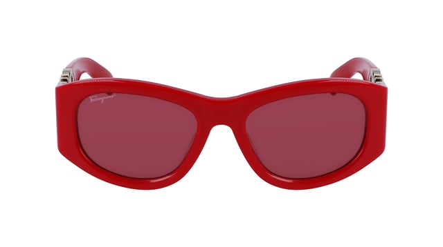 Salvatore Ferragamo SF SF1082S 600 53 Kadın