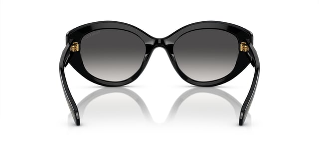 Swarovski SW 6005 10018G 53 Women