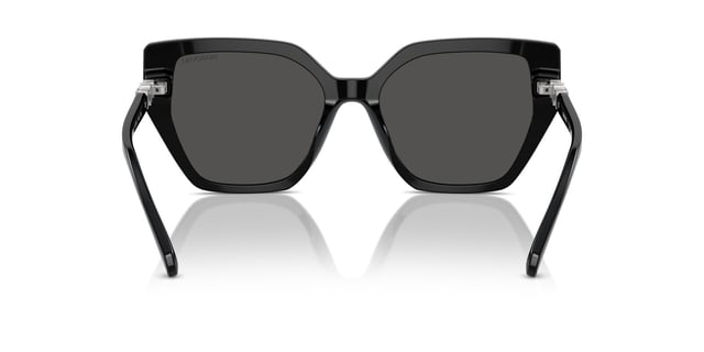 Swarovski SW 6016 100187 56 Kadın