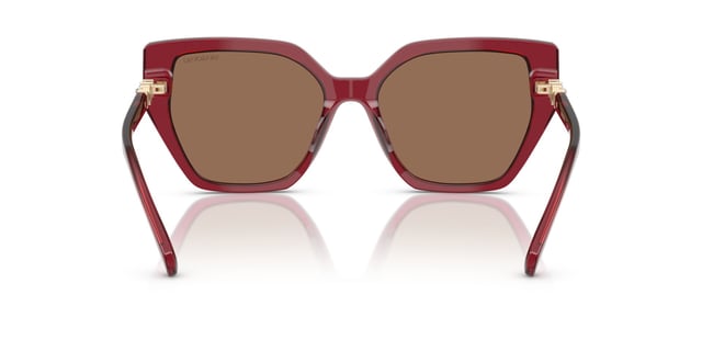 Swarovski SW 6016 105573 56 Kadın