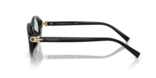 Tiffany & Co TC 4242-D 8001/D9 54 Women