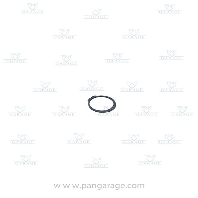 0501 318 916 Retaining Ring