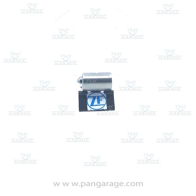 0501 319 920 Detent