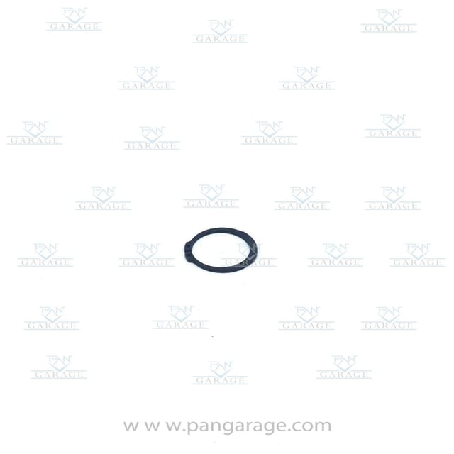 0501 325 193 Retaining Ring