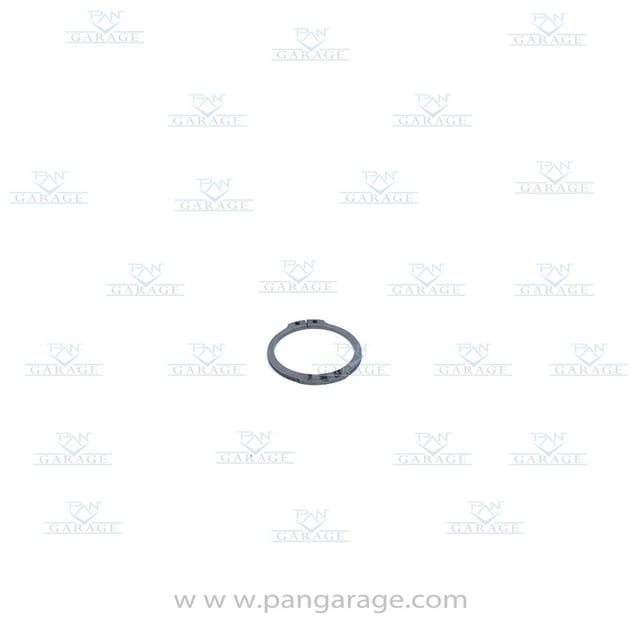 0501 325 195 Retaining Ring