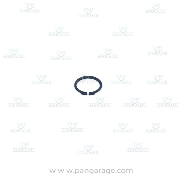 0501 325 196 Retaining Ring