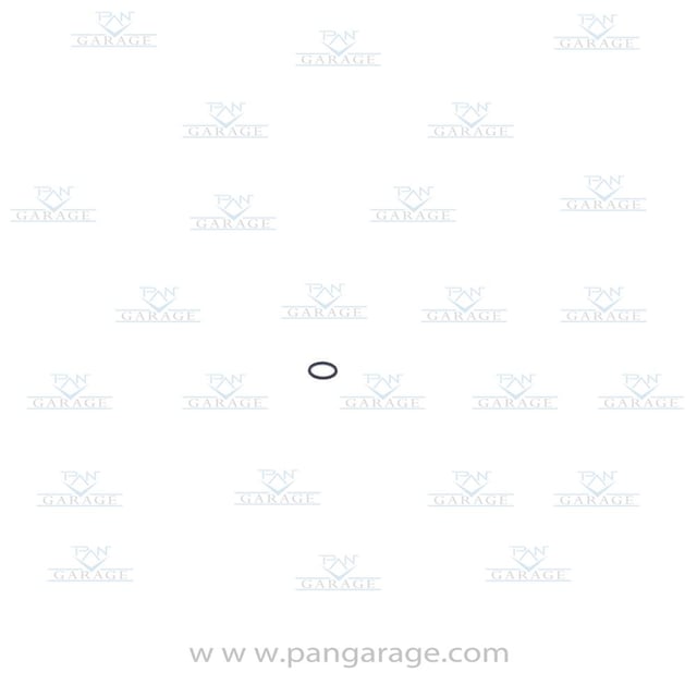 0634 303 100 O-Ring