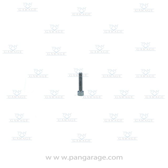 0636 100 597 Cap Screw