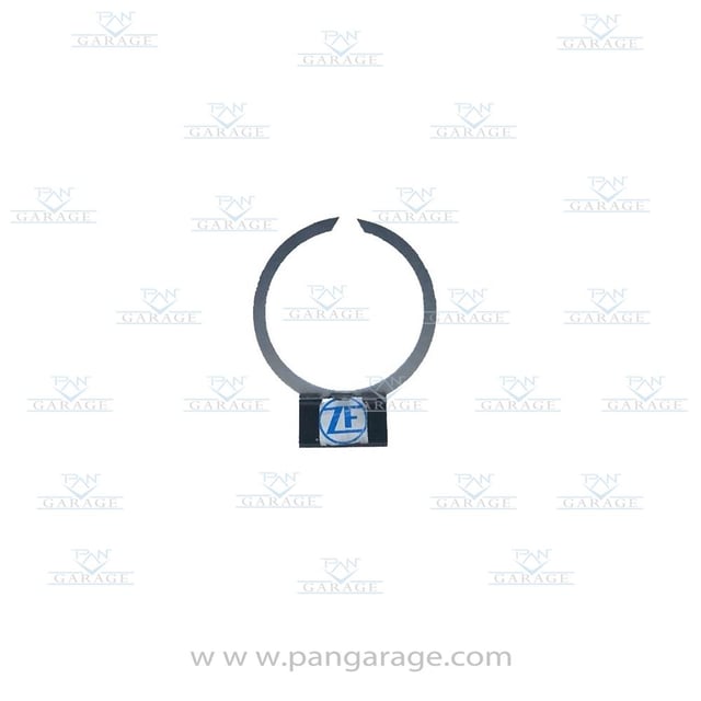 0730 300 195 Snap Ring