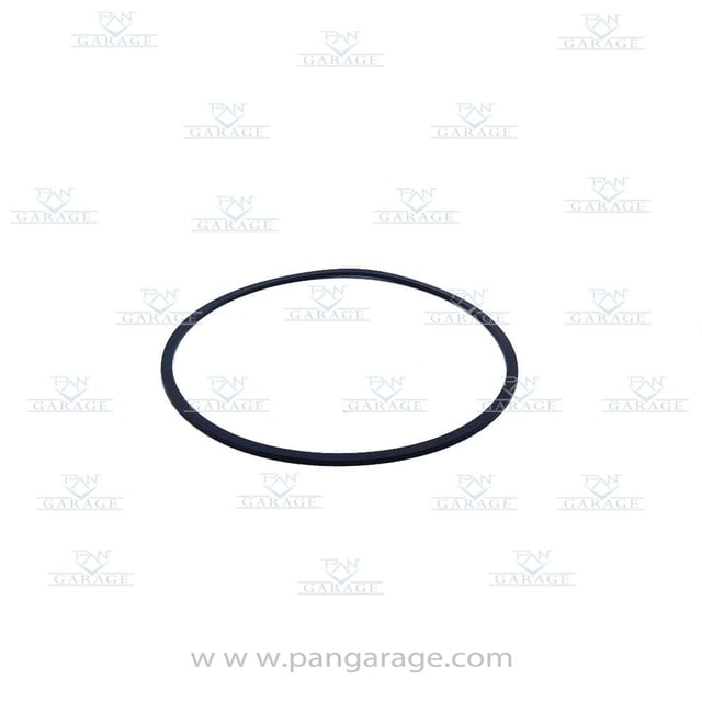 0734 300 494 Lipped Seal Ring