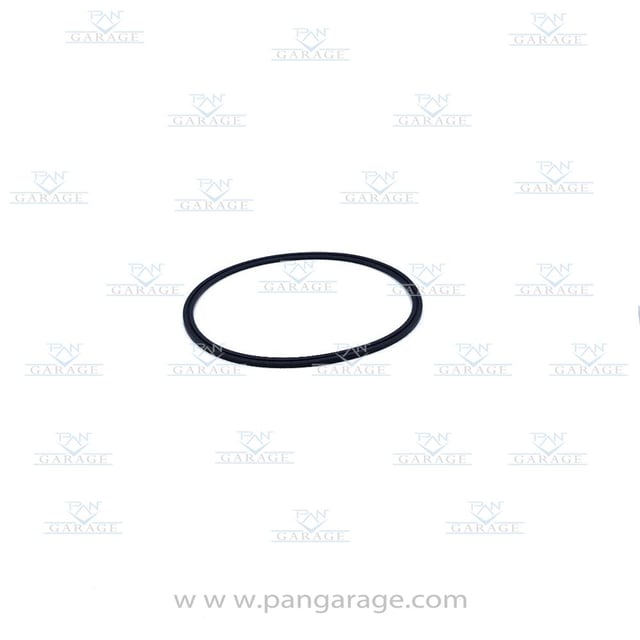 0734 300 498 Lipped Seal Ring