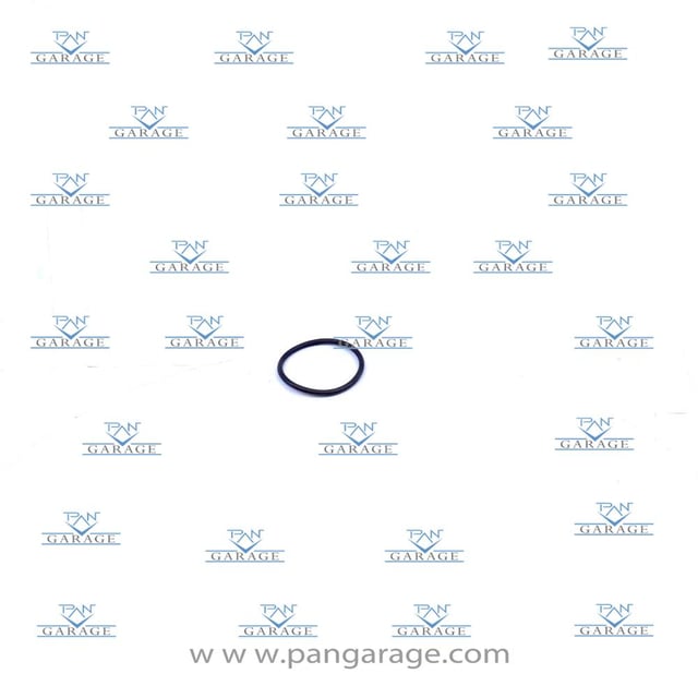 0769 151 008 O-Ring