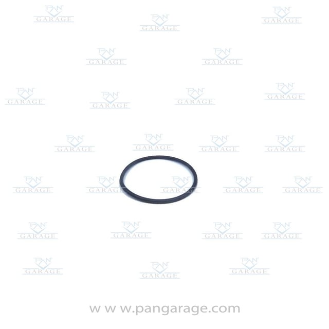 0769 151 011 O-Ring