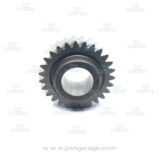 1304 303 244 Helical Gear