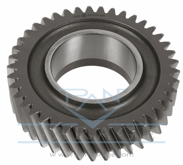 0073 301 001 Gear